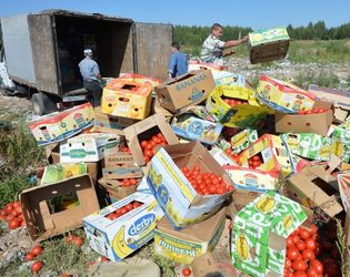 Росія за рік знищила понад 7 тис. тонн санкційних продуктів